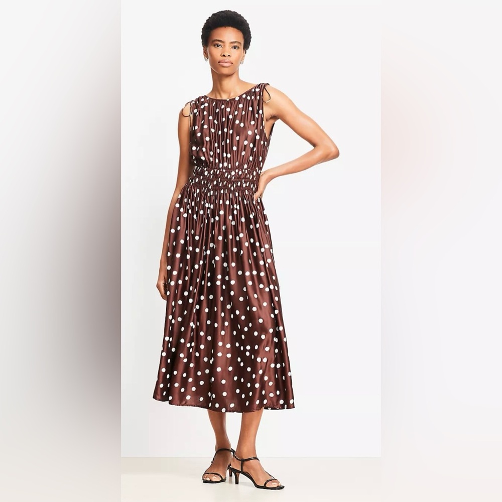LOFT Chocolate Brown Maxi Dress with White Polka Dots Size 10 petite